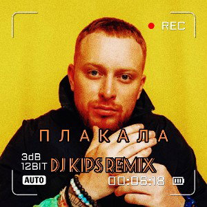 Лёша Свик - Плакала (DJ KIPS Remix)