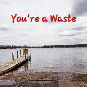 You're A Waste