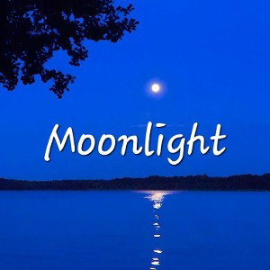Moonlight - NorthWest

