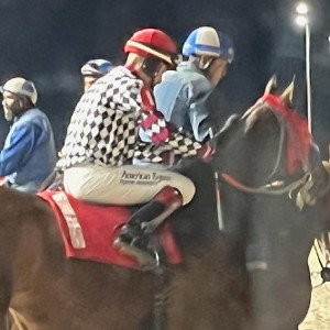 TEE -FOR THE RACEHORSES