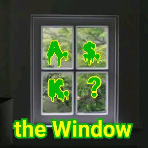 the Window