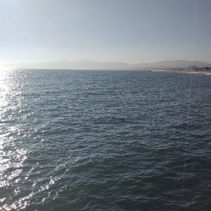 OGKush__18_43_