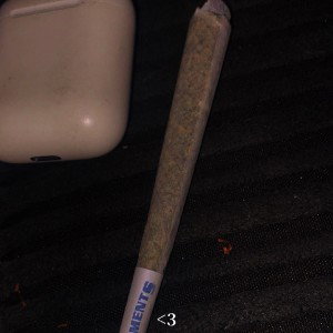 struggle made a beast