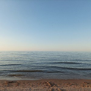 всё COVID-19🦠😷