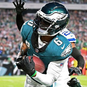 Fly Eagles Fly High 