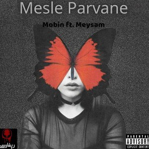 Mesle Parvane (Meysam ft. Mobin)