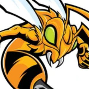 HYPE BEE'