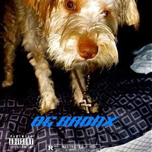 GEEK (ft. Coke Dre ) 