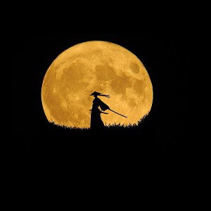 TO THE MOON