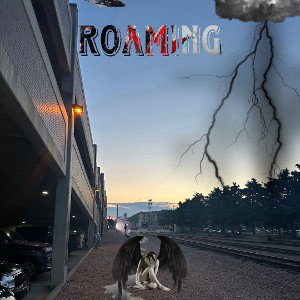 Roaming