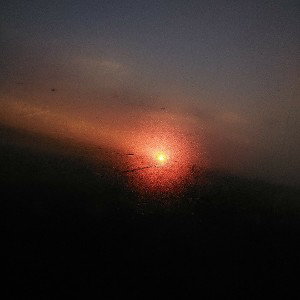 hidden within 
