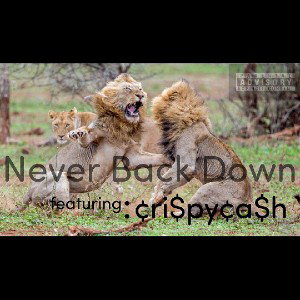 Never Back Down