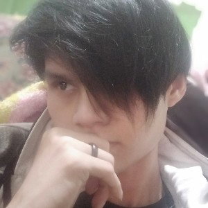 goblok