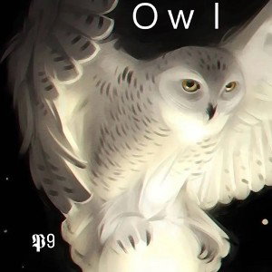 Owl-p9tunes