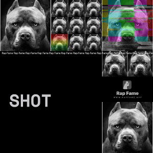 SHOT