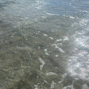 we in the paradise 