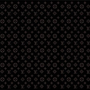 GB476 - Louis vuitton 