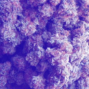 BEAZY'$ $MOK3 BRAK3 (Slowed + Reverb)