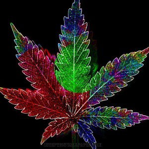 Defense (Ft. Big Chief 420 & Nick Tokesss)