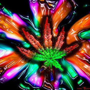No Love (Ft. Big Chief 420 & NickTokess)