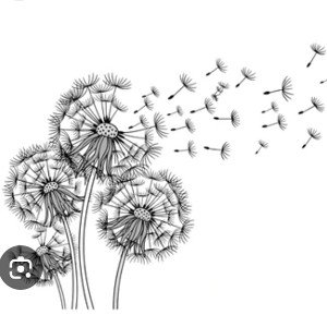 "WISHES"