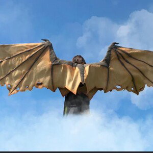 "I CAN NOT FLY"