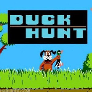 🔥DUCK HUNT🔥