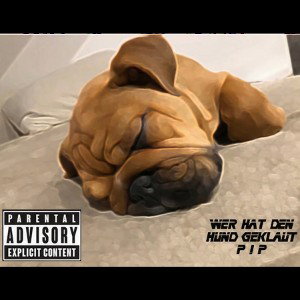 Wer hat den Hund geklaut? (SM2)