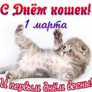 SERGEY DOLAR - ВЕСЕННИЕ ЦВЕТЫ 