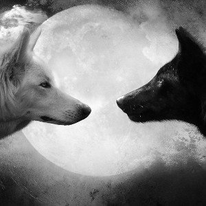 Two Wolves In Mind