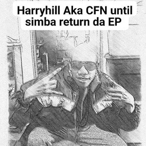 CFN Simba - _lies
