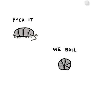 my system