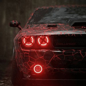 cherry ye bari