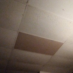 touch the ceiling 