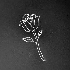 Color De Rosas