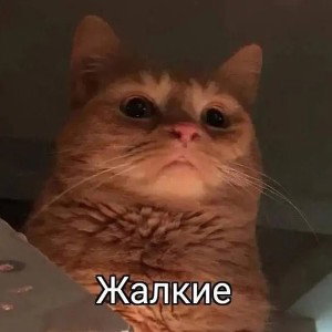 На часах пизда
