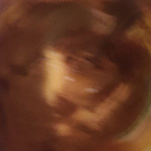 Кошка Даша