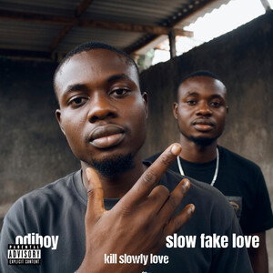 slow fake love 