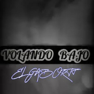 VOLANDO BAJO -  EL GABORTT 