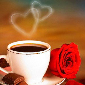 one cup of love 