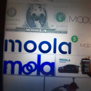 Moola The Green Go