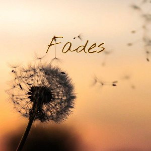 Fades