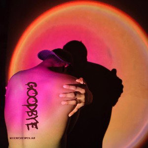  Goodbye (LAST TIME ON EARTH) Live Version