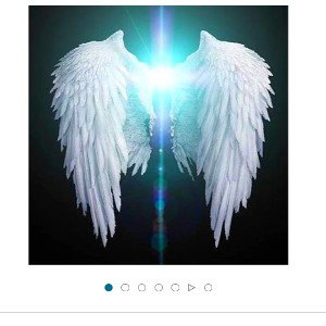 WINGS