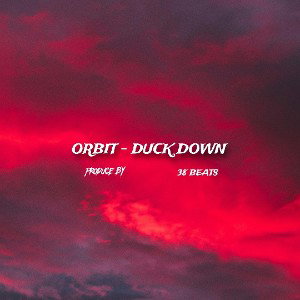 ORBIT - DUCK DOWN