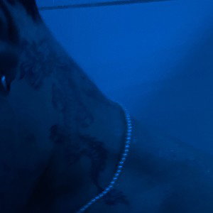 “Luzes da cidade”