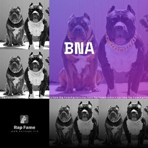 BNA