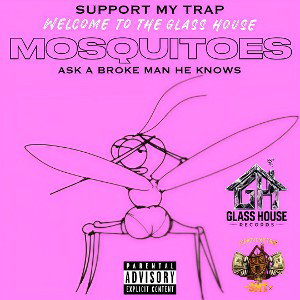 MOSQUITOES