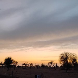 tere sawal (only intro)