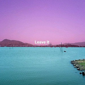 leave it (only intro)